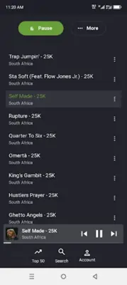 South African Music android App screenshot 3
